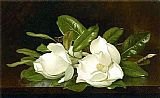 Martin Johnson Heade Famous Paintings - Magnolias on a Wooden Table